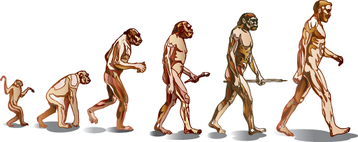 Schemat ewolucji człowieka