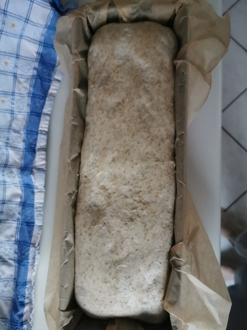 Wyrośnięty chleb przed wstawieniem do piekarnika